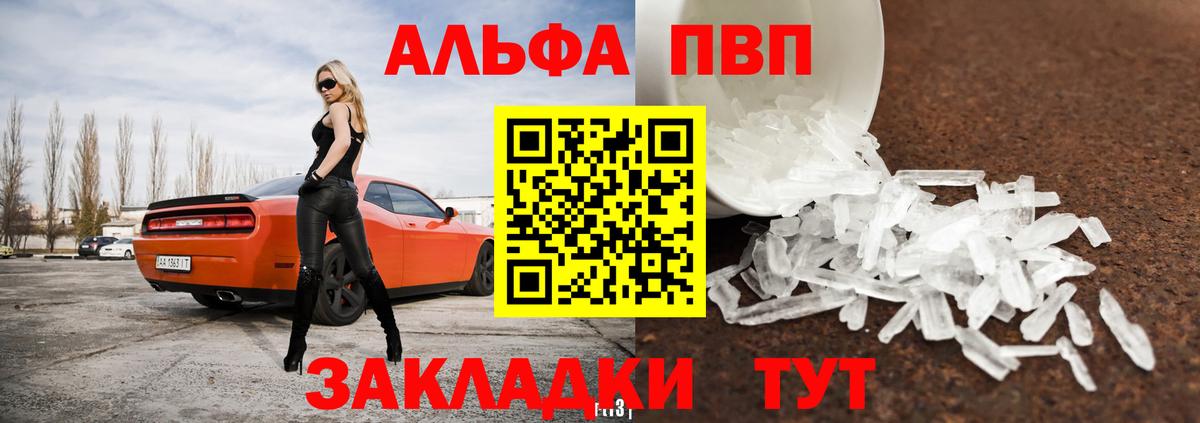 A-PVP СК Санкт-Петербург