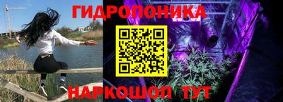 дурь Сланцы