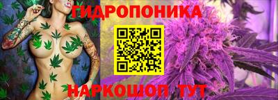 дурь Сланцы