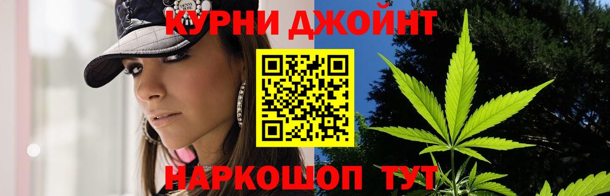Марихуана сатива Санкт-Петербург